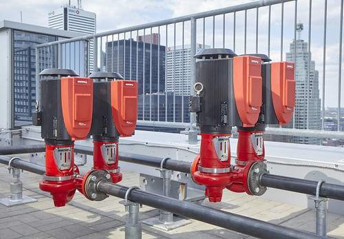 53973030628 4ceef61408